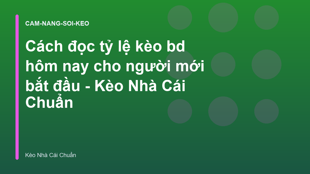 Cách đọc tỷ lệ kèo bd hôm nay cho người mới bắt đầu - Kèo Nhà Cái Chuẩn